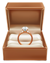 Ring Boxes
